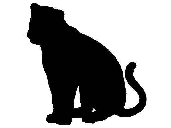 Животные 3354 Животные 3354