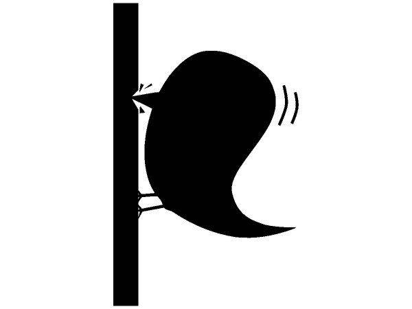 Животные 3923 Животные 3923