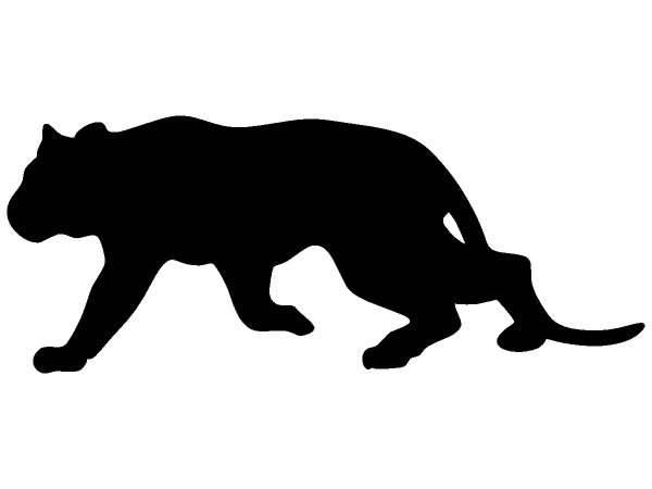 Животные 365