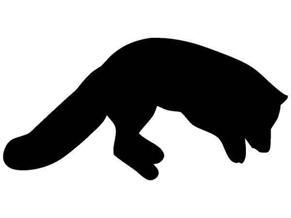 Животные 1284 Животные 1284