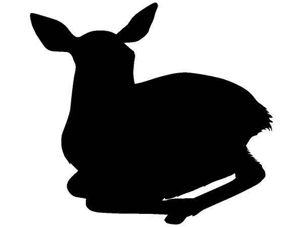 Животные 687 Животные 687