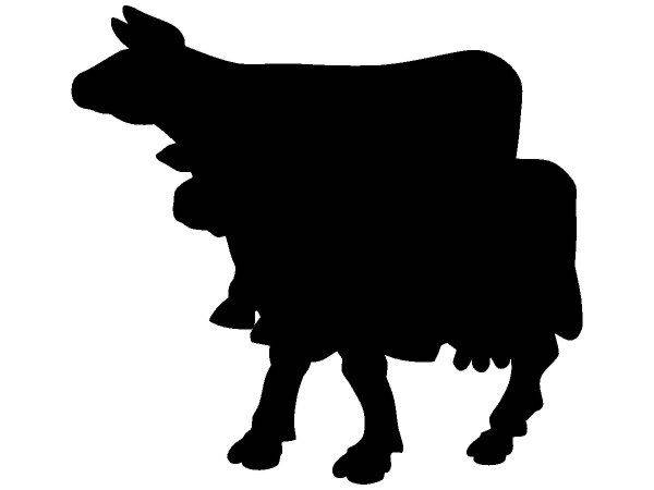 Животные 3614 Животные 3614