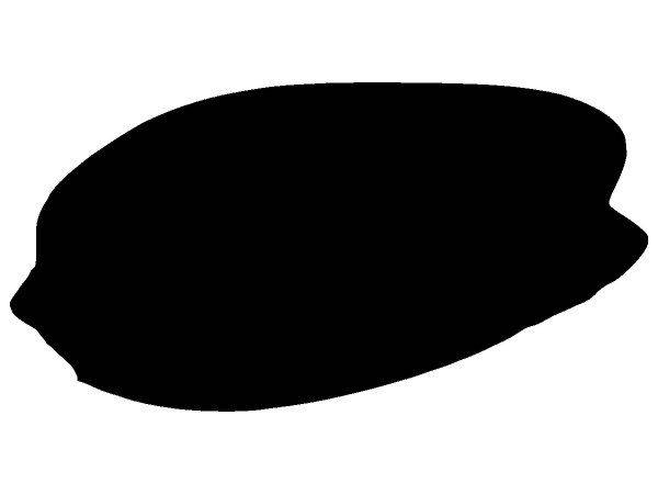 Животные 3067