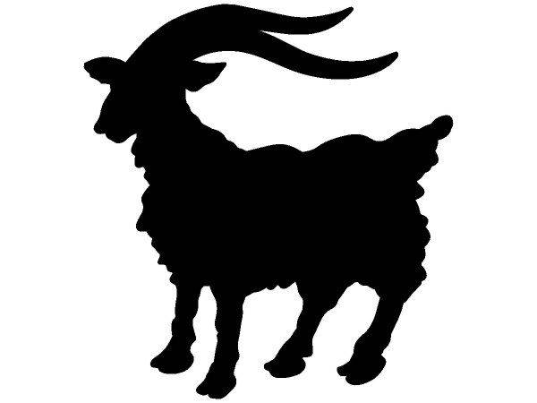 Животные 3634 Животные 3634