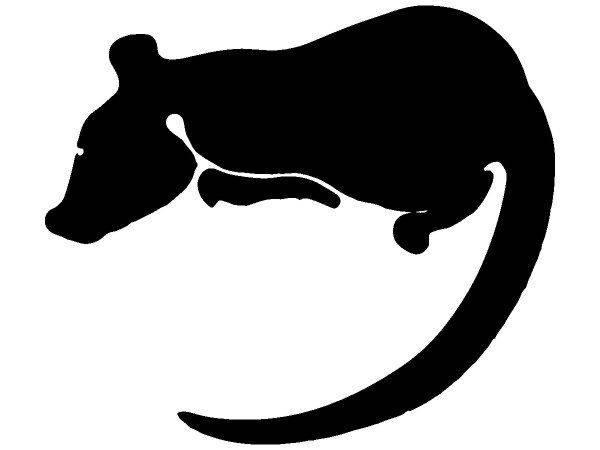 Животные 57 Животные 57