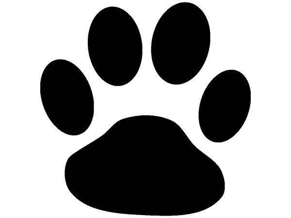 Животные 2383