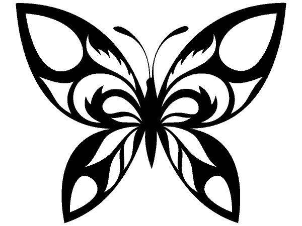 Животные 3670