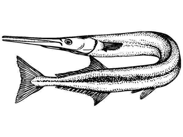 Животные 3788 Животные 3788