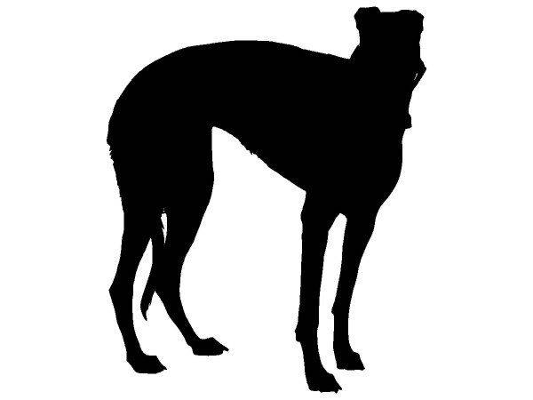 Животные 4066