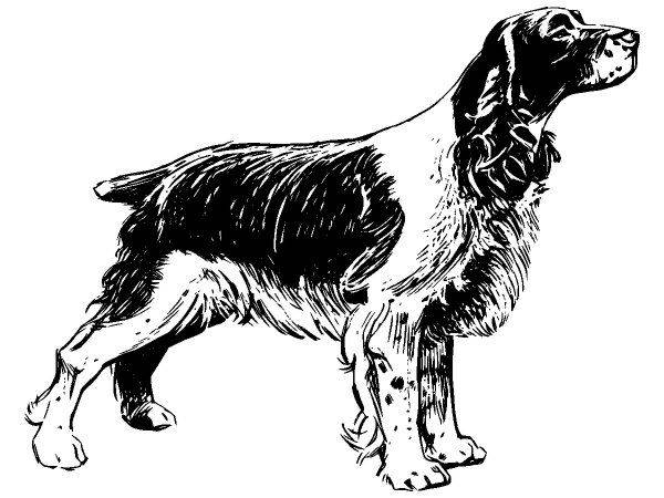 Животные 1123