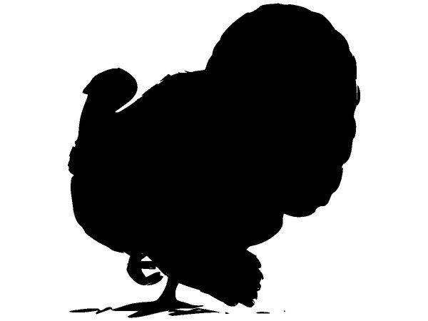 Животные 4057