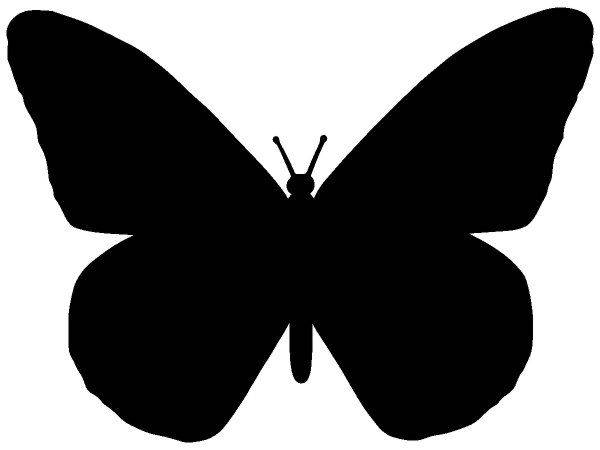 Животные 2547