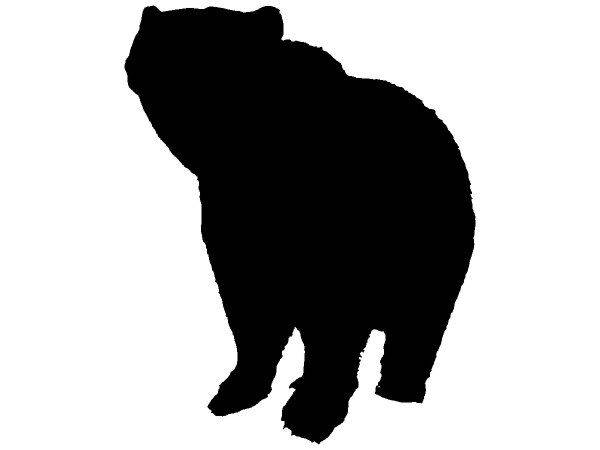 Животные 2333