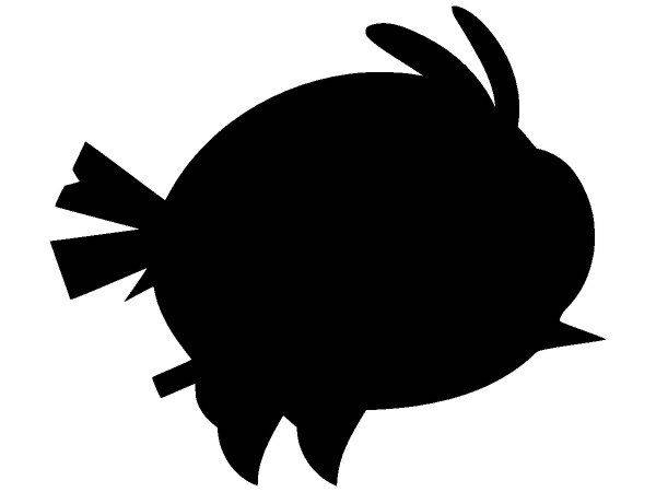 Животные 2937