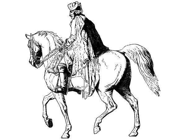 Животные 2887