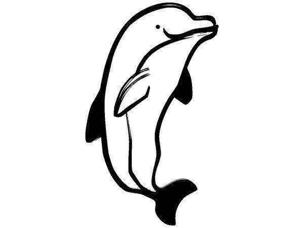 Животные 2159