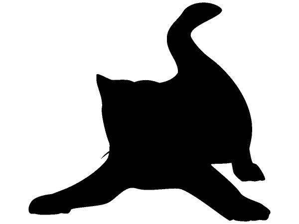 Животные 3534 Животные 3534