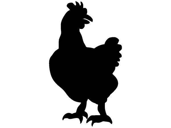 Животные 3602 Животные 3602