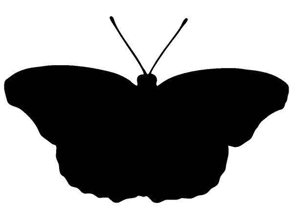 Животные 2921