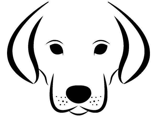 Животные 3344 Животные 3344