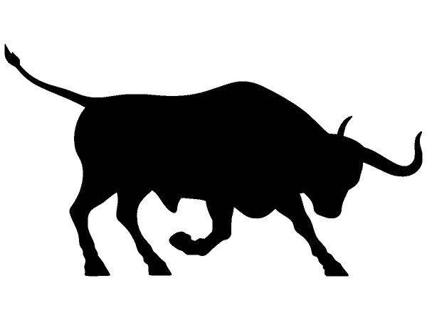 Животные 377 Животные 377