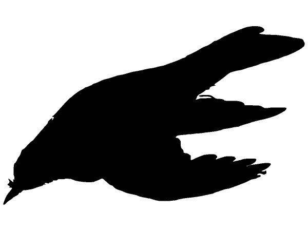 Животные 3456 Животные 3456