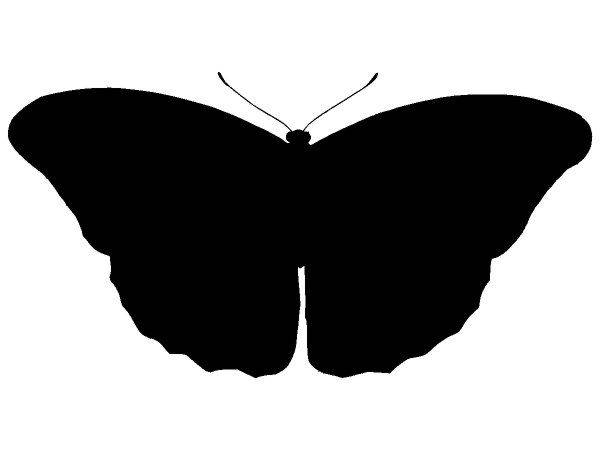 Животные 3245 Животные 3245