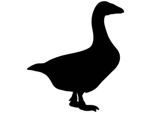 Животные 3595 Животные 3595