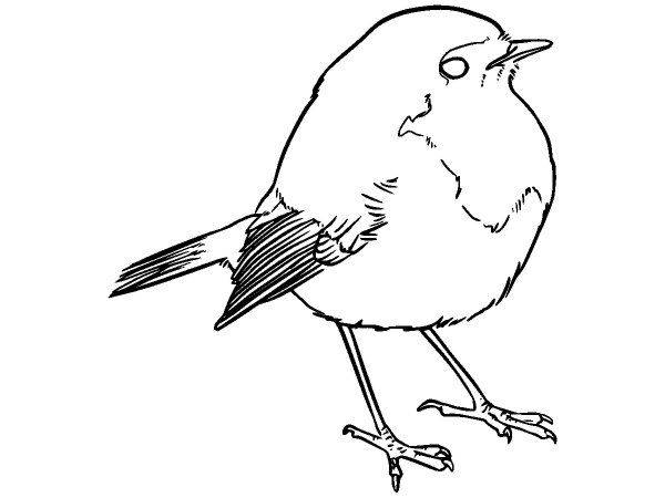 Животные 2299 Животные 2299