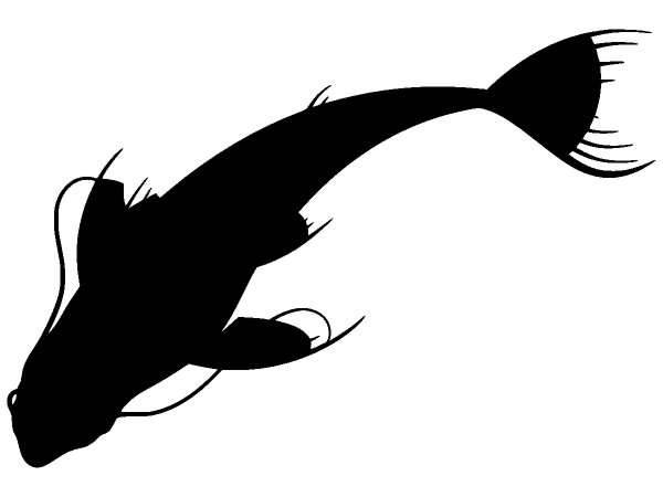 Животные 846