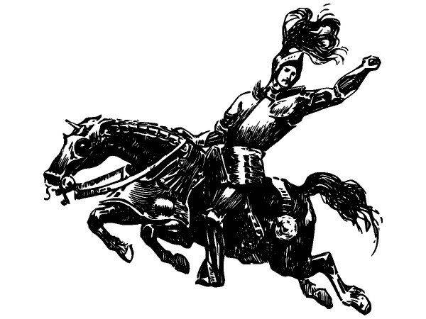 Животные 2895