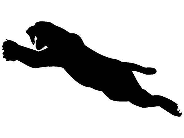 Животные 200