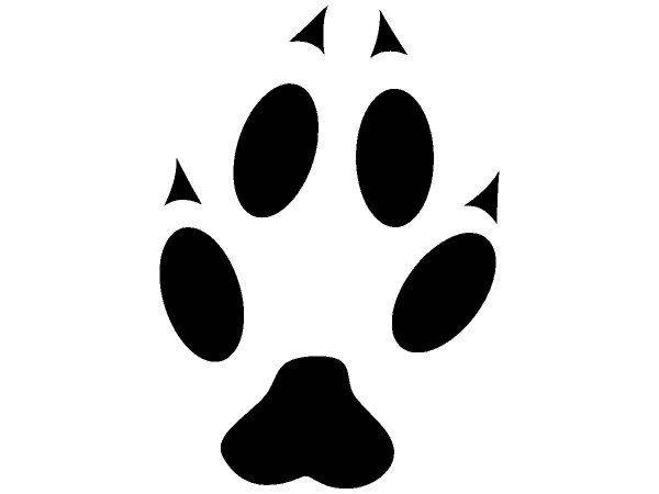 Животные 1233 Животные 1233