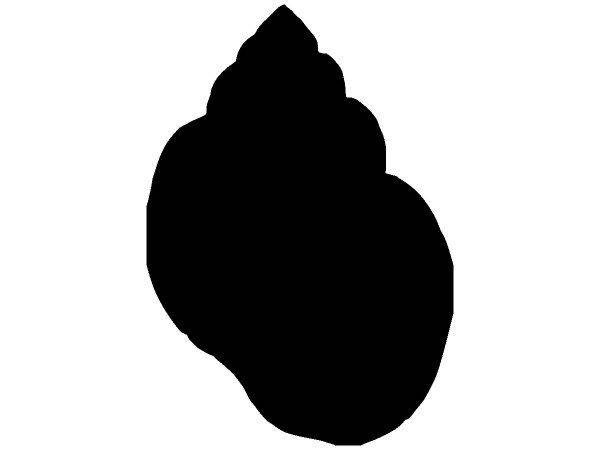 Животные 3769 Животные 3769