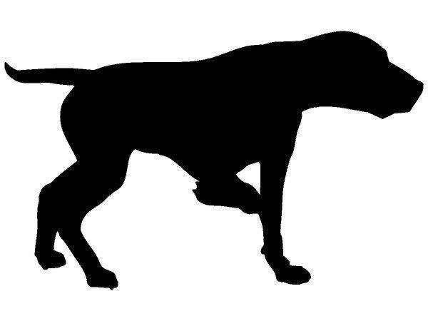 Животные 728 Животные 728