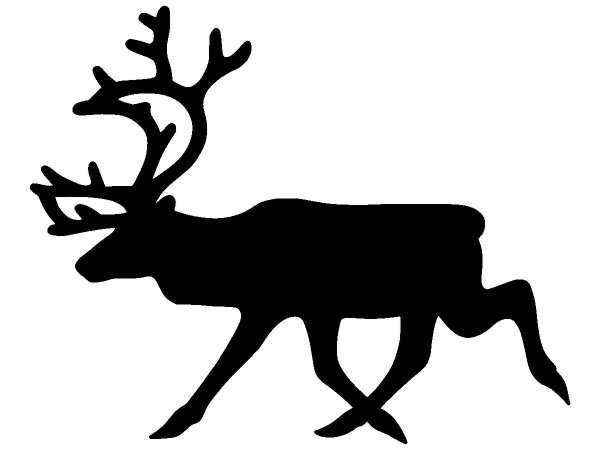 Животные 443