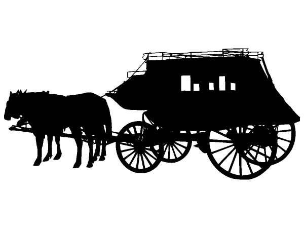 Животные 1155