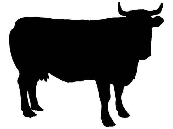 Животные 4177