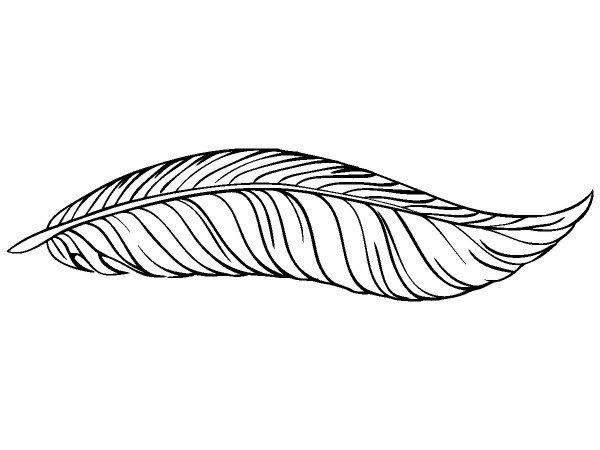 Животные 3330 Животные 3330