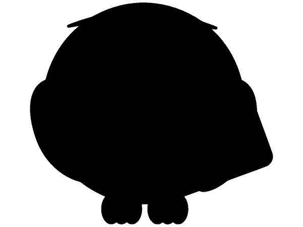 Животные 1359