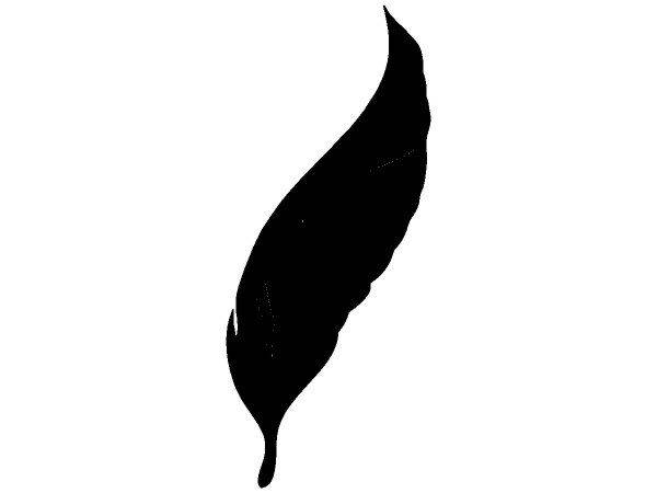 Животные 3329 Животные 3329