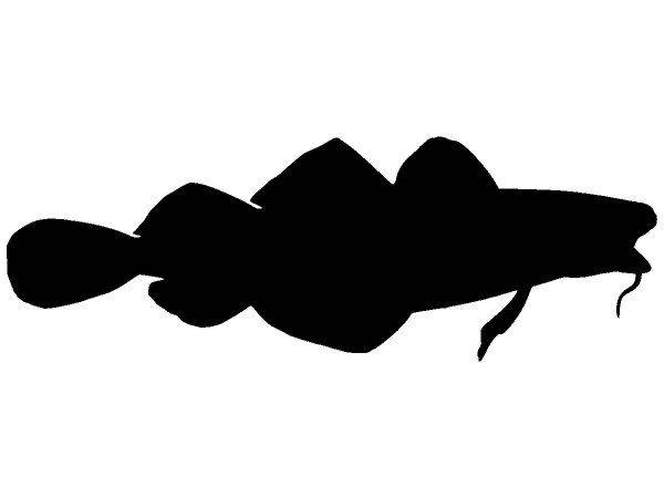 Животные 3889 Животные 3889