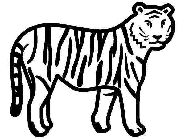 Животные 510