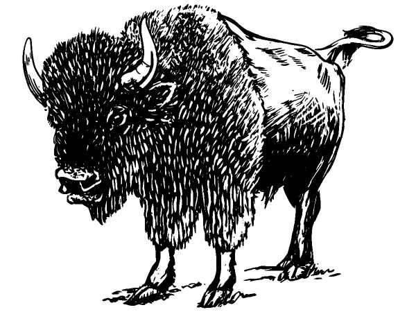 Животные 115