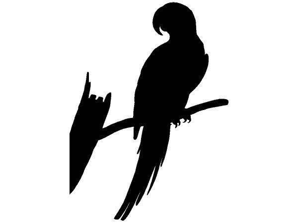 Животные 2974 Животные 2974