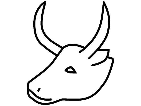 Животные 123