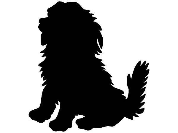 Животные 2422 Животные 2422