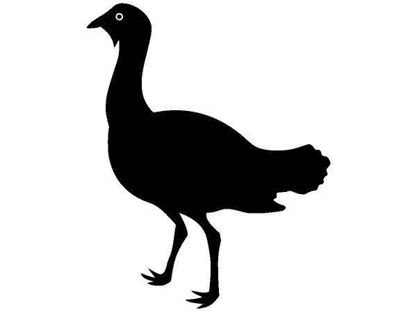 Животные 2803