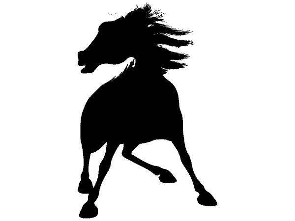 Животные 3513 Животные 3513