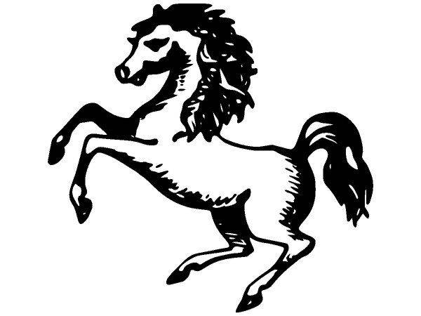 Животные 3551 Животные 3551